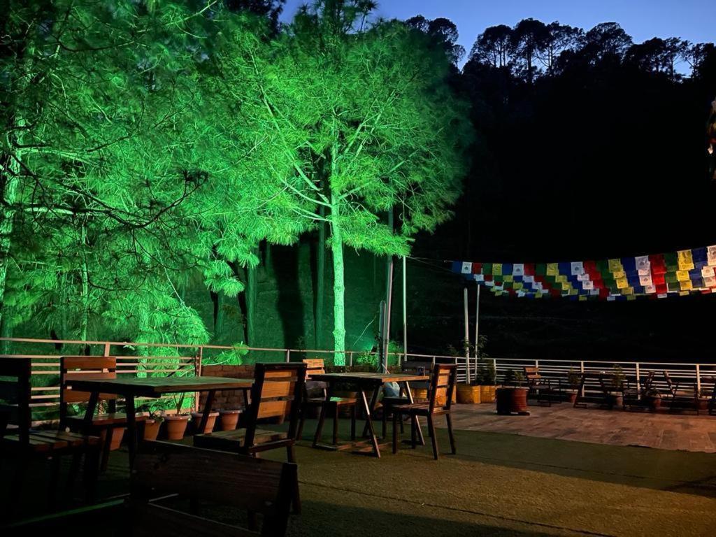 Hillcrest Heights Bed & Breakfast Kasauli Exterior photo