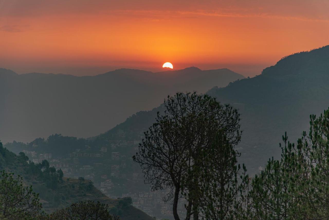 Hillcrest Heights Bed & Breakfast Kasauli Exterior photo